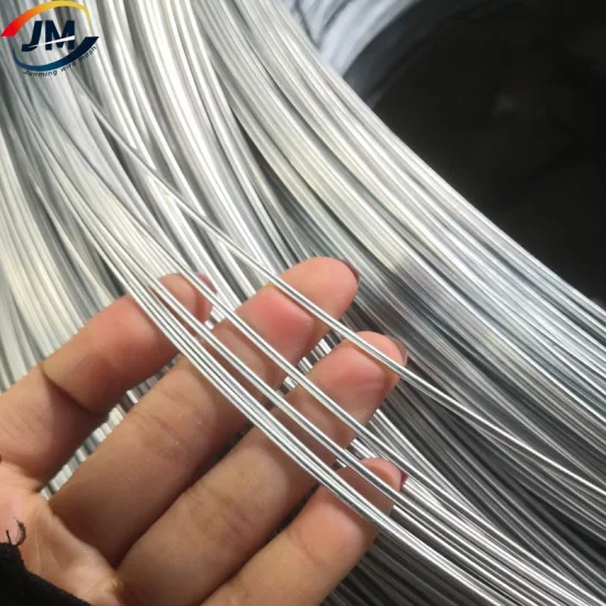 Hot Dipped/Electric Galvanized Mild Steel Binding Wire/Black Annealed Rebar Iron Tie Wire 16 Gauge Stainless Steel Spool for Construction/Building Material